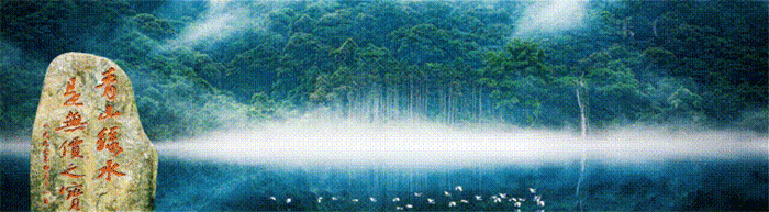 1751291856955854.gif
